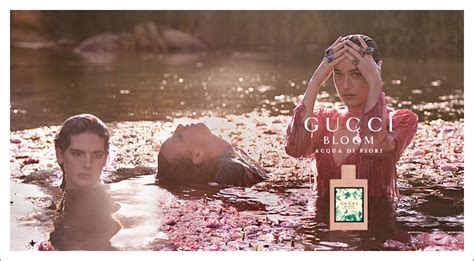 nuovo profumo gucci per uomo|gucci bloom original.